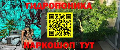 гашик Мариинск