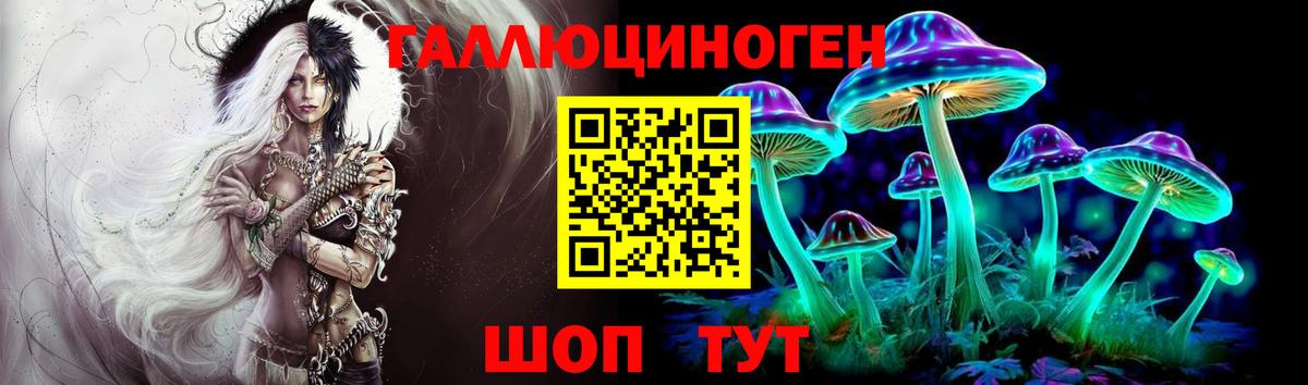 Псилоцибиновые грибы GOLDEN TEACHER Заинск